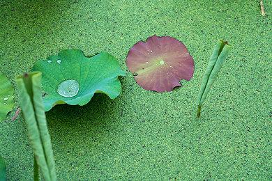 《控制2》发行不会受到Annapurna员工辞职的影响